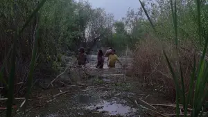 Задник до фильму"Адаптація." #671079