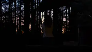 Задник до фильму"Зла не існує" #756359