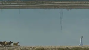 Задник до фильму"" #544232