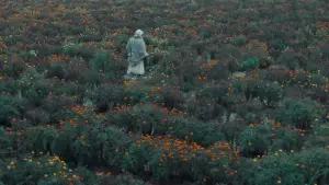 Задник до фильму"खाल बछड़ा" #778000