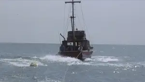 Задник до фильму"Щелепи" #521034