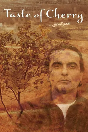 Постер до фильму"Смак вишні" #111973