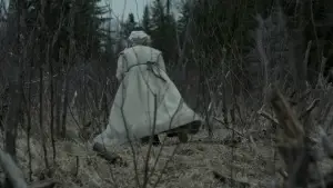 Задник до фильму"Відьма" #600277