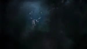 Задник до фильму"" #534631