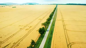 Задник до фильму"" #418058