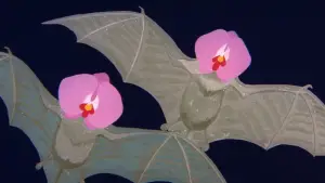 Задник до фильму"Феєрверк" #710987