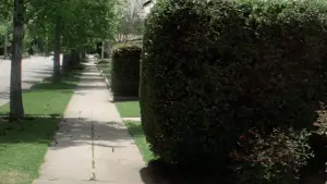 Задник до фильму"Гелловін" #610868