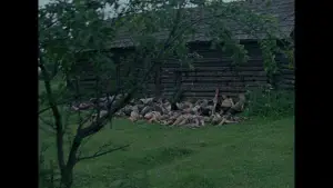 Задник до фильму"Йди та дивись" #845259