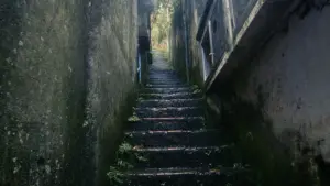 Задник до фильму"" #416397