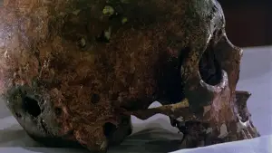 Задник до фильму"Куля в голові" #791042