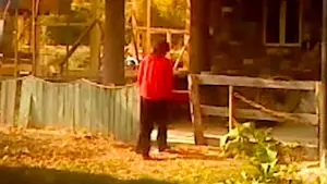 Задник до фильму"ხმელი ფოთოლი" #770903