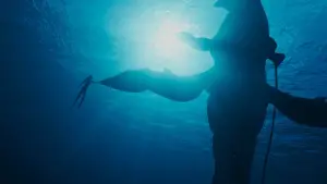 Задник до фильму"" #394956