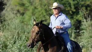 Задник до фильму"" #364070