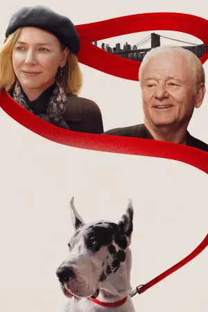 Постер до фильму"Друг" #589116