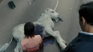 Задник до фильму"Смерть єдинорога" #568897