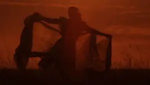 Задник до фильму"Барва пурпурова" #680586