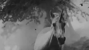 Задник до фильму"Той, хто біжить по лезу" #563426