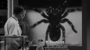 Задник до фильму"" #721406