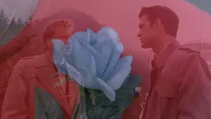 Задник до фильму"Твін-Пікс: Вогню, іди зі мною" #643226