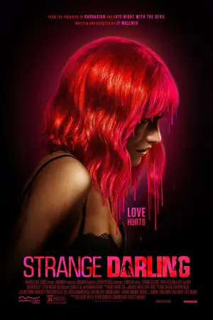 Постер до фильму"Переслідувач" #683603