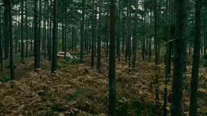 Задник до фильму"Останній нащадок Землі" #626849