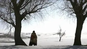 Задник до фильму"" #491305