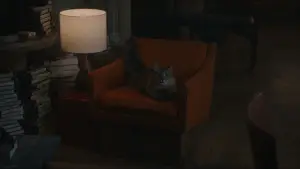 Задник до фильму"Спіймати на гарячому" #771250