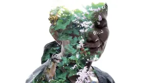 Задник до фильму"Кладовище блиску" #406032