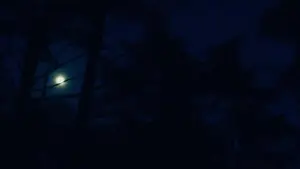 Задник до фильму"Зла не існує" #756355