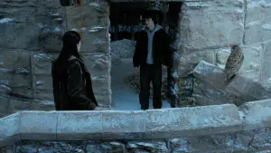 Задник до фильму"Гаррі Поттер і келих вогню" #802005