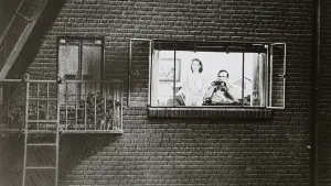 Задник до фильму"Вікно у двір" #174401