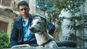 Задник до фильму"" #637156