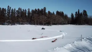 Задник до фильму"Поворот не туди 4: Кривавий початок" #793648