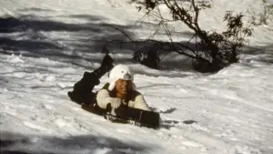 Задник до фильму"Поліцейська історія 4: Перший удар" #810432