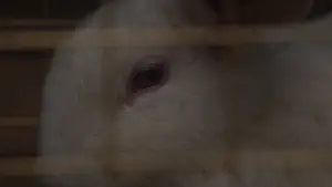 Задник до фильму"Ми" #656856