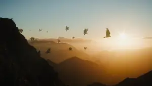 Задник до фильму"Гобіт: Несподівана подорож" #562089