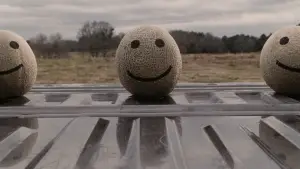 Задник до фильму"Аудитор" #615697