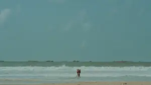 Задник до фильму"My Father