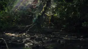 Задник до фильму"Анігіляція" #618587