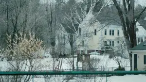 Задник до фильму"Манчестер біля моря" #624217