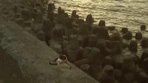 Задник до фильму"" #633926