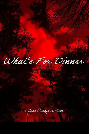 Постер до фильму"What