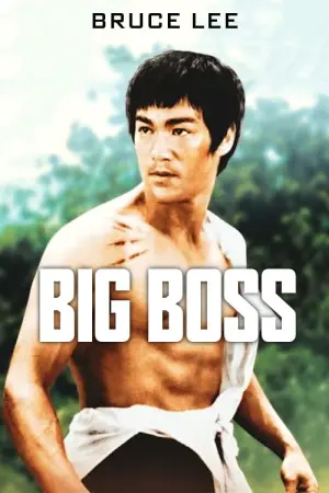 Постер до фильму"Великий бос" #91128