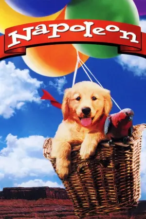 Постер до фильму"Наполеон" #646961