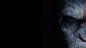 Задник до фильму"Світанок планети мавп" #596947