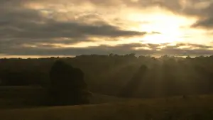 Задник до фильму"Голоднi iгри: Переспiвниця. Частина 2" #785576