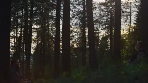 Задник до фильму"Потяг у снах" #514911