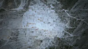 Задник до фильму"Бруталіст" #610886