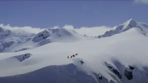 Задник до фильму"Володар перснів: Хранителі персня" #503279