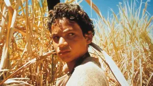 Задник до фильму"" #492510